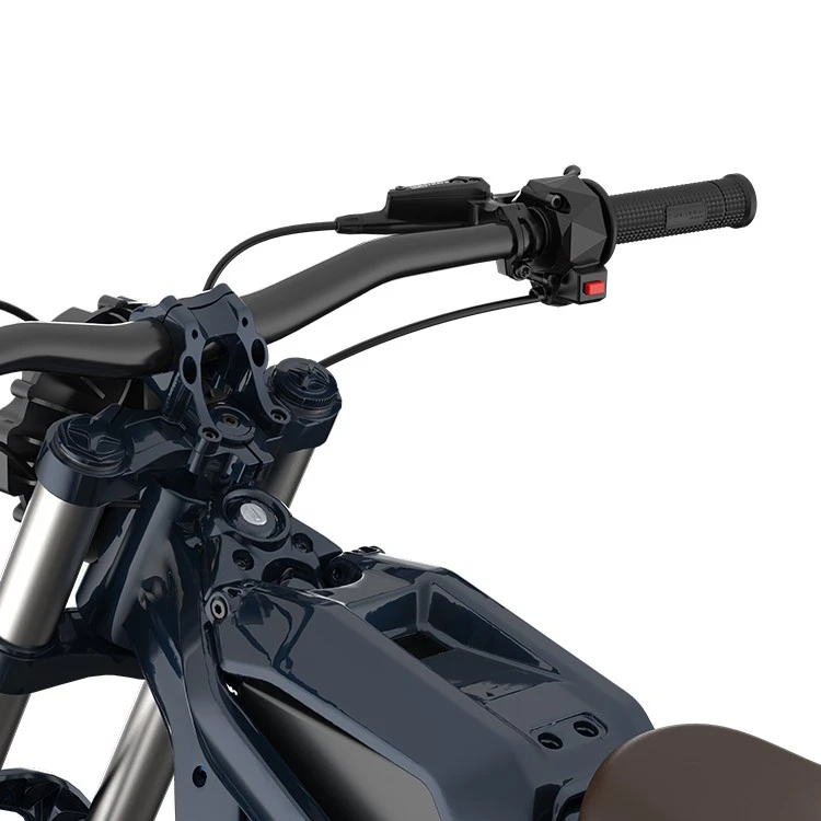 E Bike Throttles